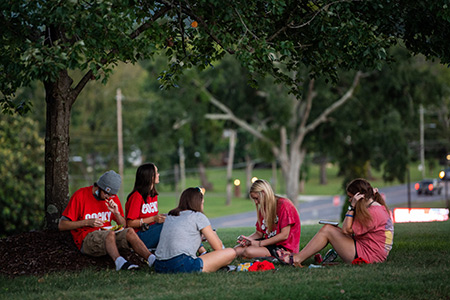 students sit on the lawn at freshman convocation