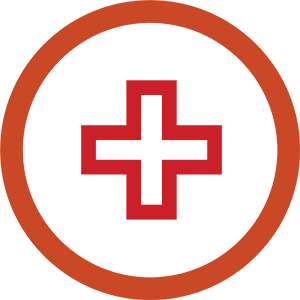 Icon of Red Cross