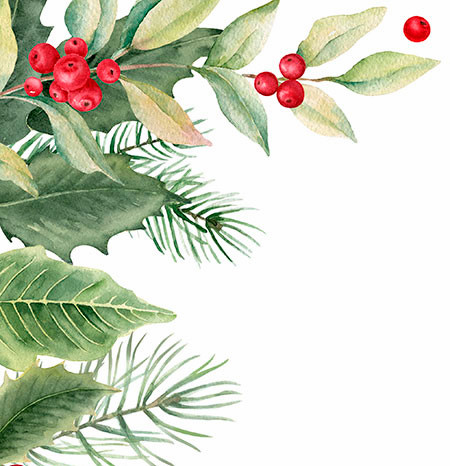 a colorful green and red holiday holly border