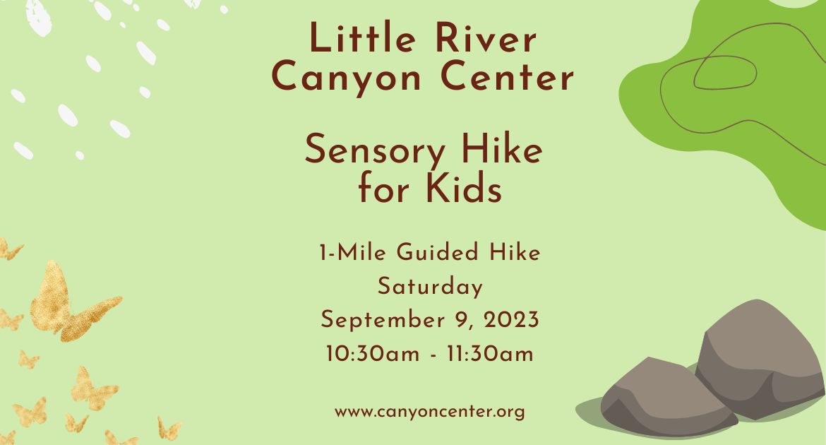 Sensory Hike for Kids