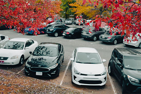 Cars in Parking Lot