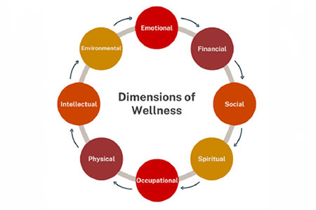 Graphic depicting the dimensions of wellness