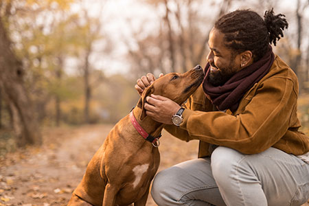 A young man pauses on his walk to pet his dog.