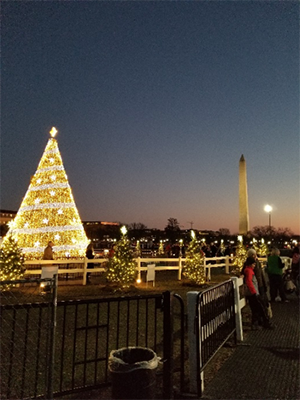 National Christmas Tree with Washington Monument