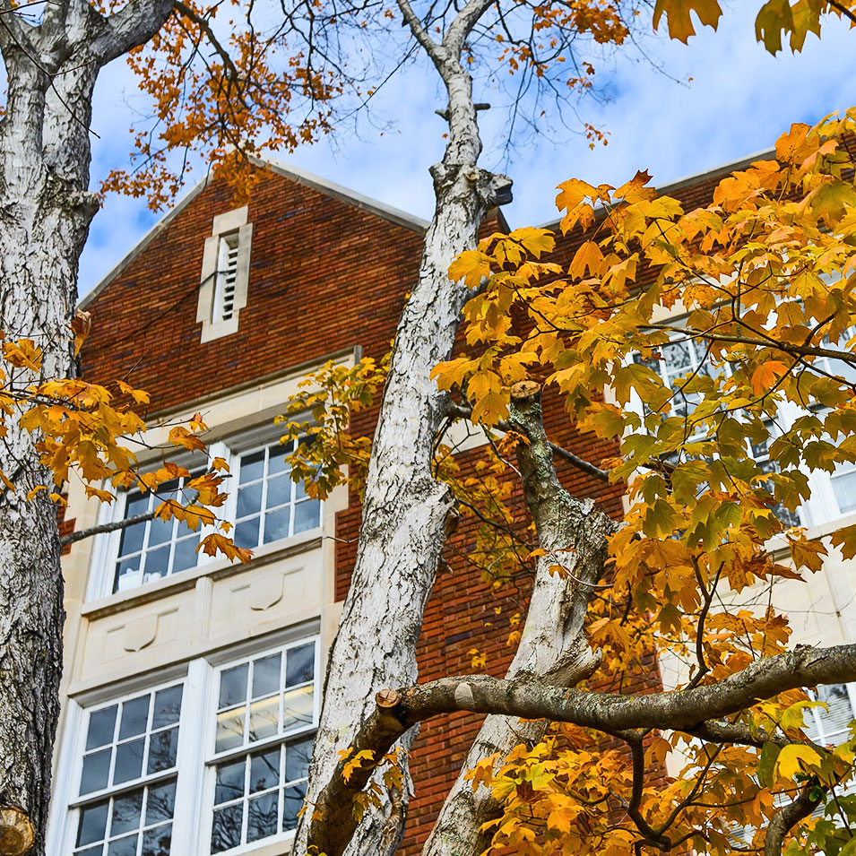 Fall on the JSU campus