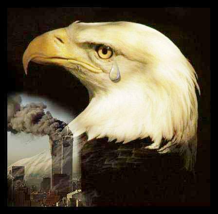 murica eagle crying