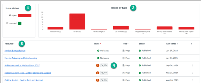 Dashboard with items scanned for accessibility and itemized list of issues to fix.