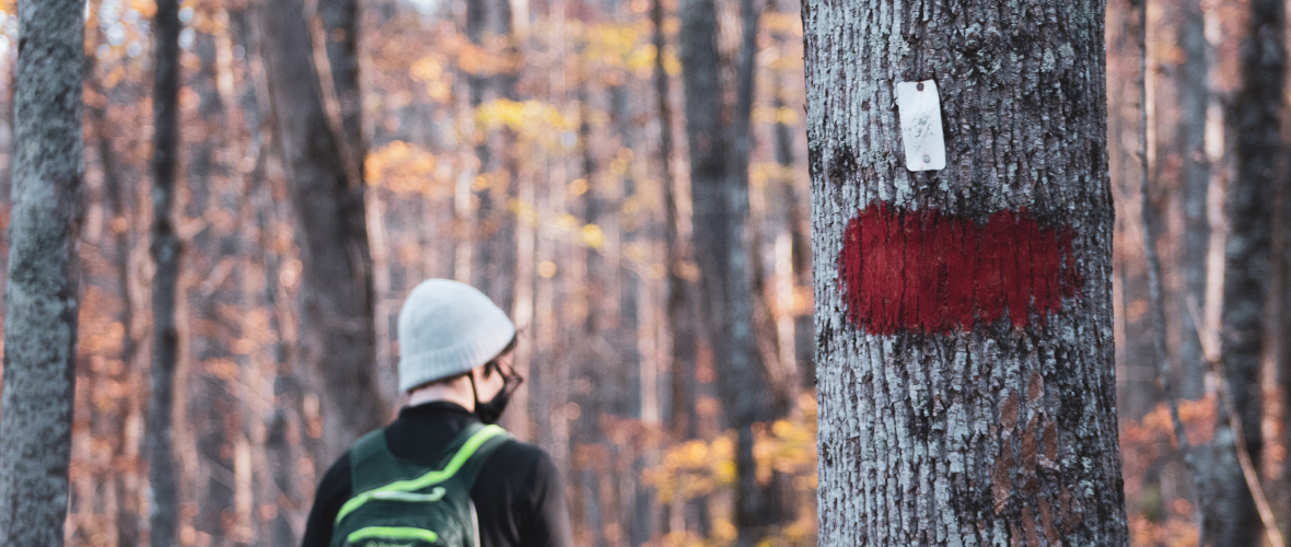 A student hikes past a tree with a red trail blaze.