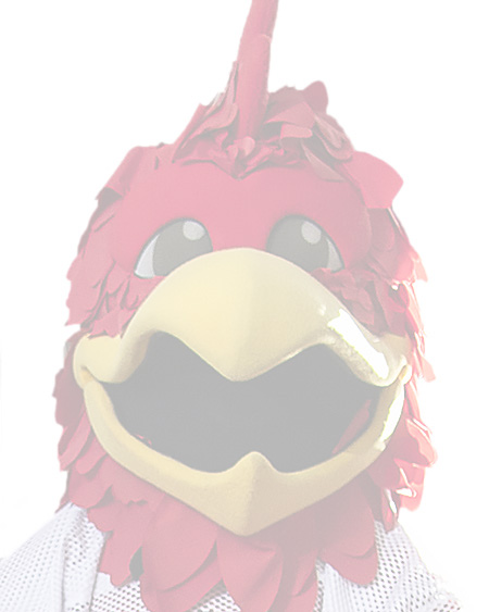 Cocky image placeholder
